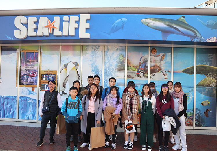 同學參觀澳洲 SEA LIFE 水族館,在入口處合影留念,背景為海洋生物主題牆面 | 澳洲遊學團