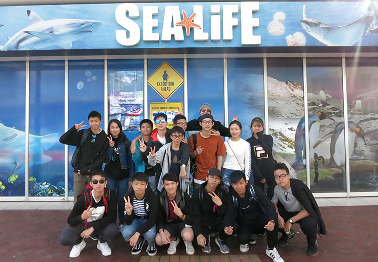 同學於 SEA LIFE 水族館外合照,背景為充滿海洋生物圖像的牆面,展現活動行程之一 | 澳洲遊學團