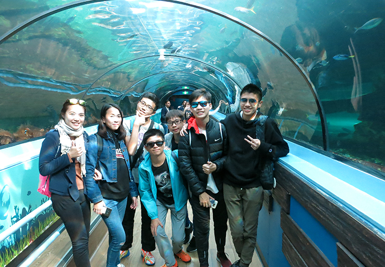 同學於水族館玻璃隧道內與各種海洋生物近距離接觸並合照留念,背景為魚群環繞的水中景觀 | 澳洲遊學團