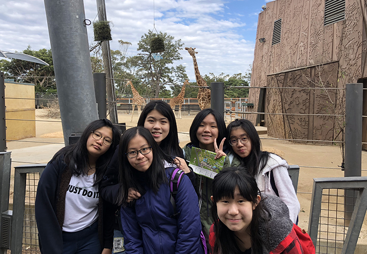 同學在動物園長頸鹿展區前合影,背景可見兩隻長頸鹿與自然風格建築 | 澳洲遊學團