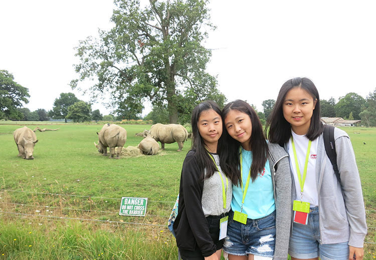 同學站在動物園草地上,身後幾隻白犀牛悠閒覓食,近距離接觸大自然野生動物 | 英國遊學團