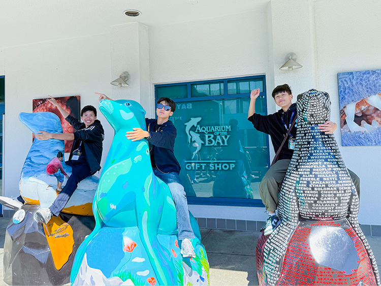 三藩市柏克萊大學夏令營