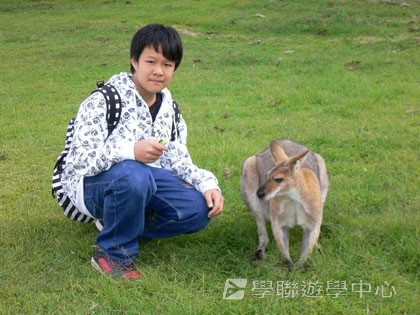 遊學 + 農莊生活體驗假期,學聯遊學團