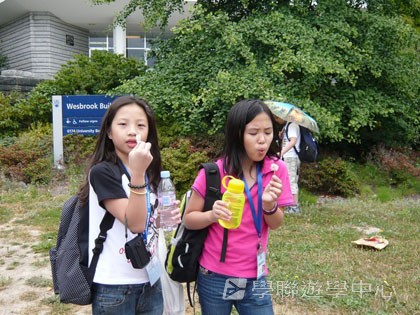 卑斯省英語文化交流營,學聯遊學團