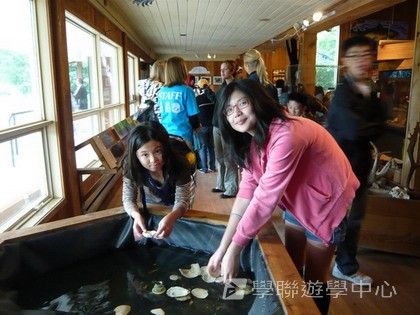 卑斯省英語文化交流營,學聯遊學團