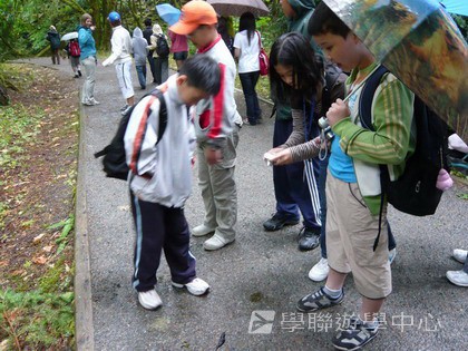 卑斯省英語文化交流營,學聯遊學團