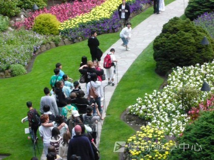 卑斯省英語文化交流營,學聯遊學團