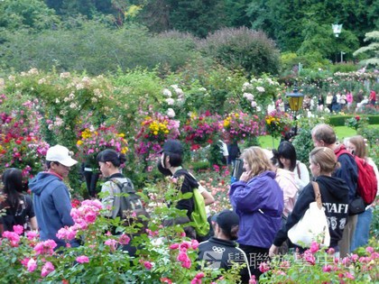 卑斯省英語文化交流營,學聯遊學團