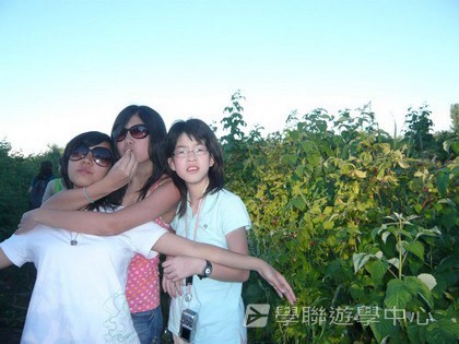 卑斯省英語文化交流營,學聯遊學團