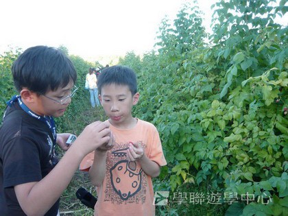 卑斯省英語文化交流營,學聯遊學團