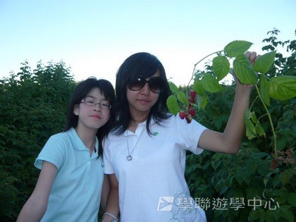 卑斯省英語文化交流營,學聯遊學團