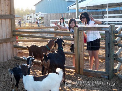 卑斯省英語文化交流營,學聯遊學團