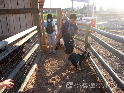 卑斯省英語文化交流營,學聯遊學團