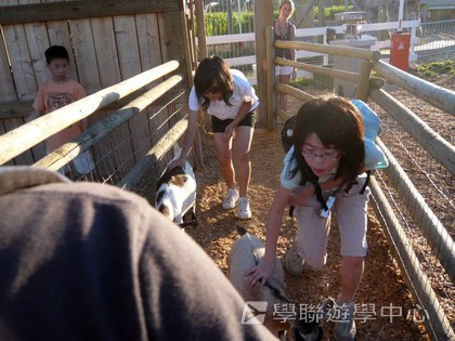 卑斯省英語文化交流營,學聯遊學團