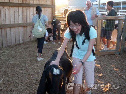 卑斯省英語文化交流營,學聯遊學團