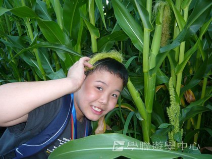 卑斯省英語文化交流營,學聯遊學團