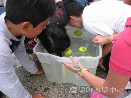 卑斯省英語文化交流營,學聯遊學團