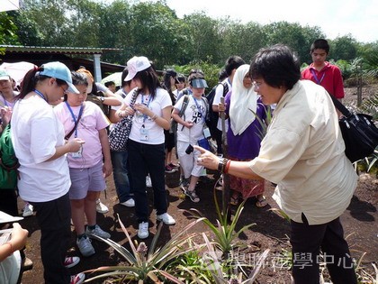 新加坡小小企業家興趣之旅,學聯遊學團