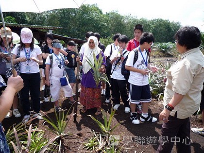 新加坡小小企業家興趣之旅,學聯遊學團