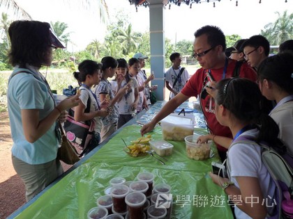 新加坡小小企業家興趣之旅,學聯遊學團
