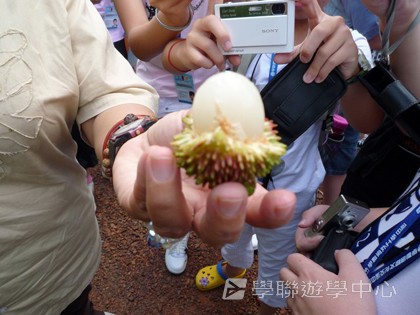 新加坡小小企業家興趣之旅,學聯遊學團