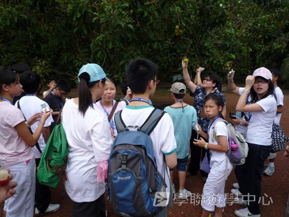 新加坡小小企業家興趣之旅,學聯遊學團
