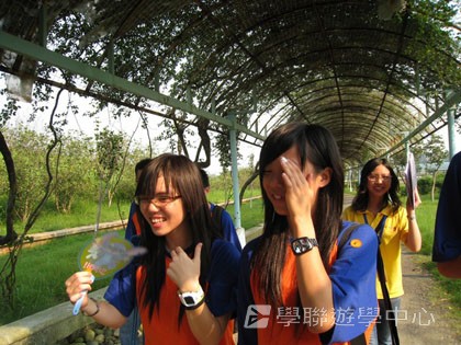 Oxbridge Summer English Camp,學聯遊學團