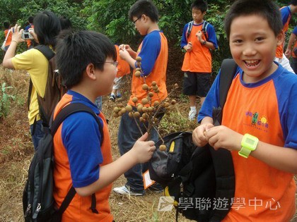 Oxbridge Summer English Camp,學聯遊學團