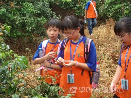 Oxbridge Summer English Camp,學聯遊學團