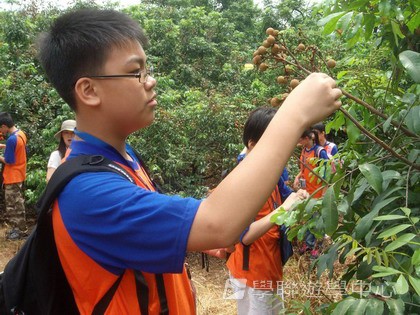 Oxbridge Summer English Camp,學聯遊學團