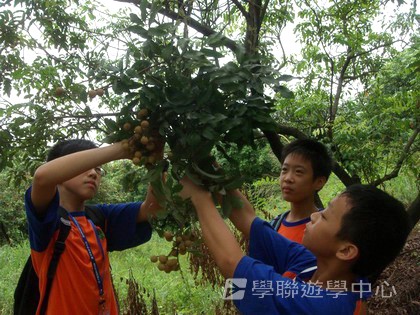 Oxbridge Summer English Camp,學聯遊學團