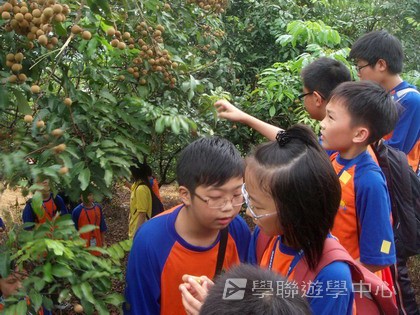 Oxbridge Summer English Camp,學聯遊學團