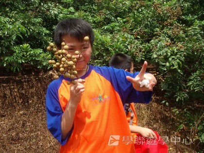 Oxbridge Summer English Camp,學聯遊學團