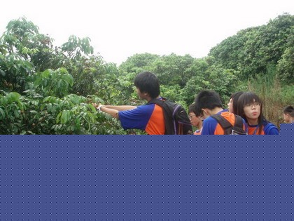 Oxbridge Summer English Camp,學聯遊學團