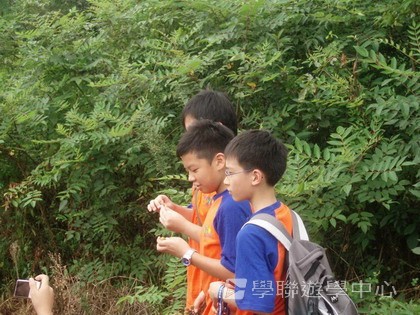 Oxbridge Summer English Camp,學聯遊學團