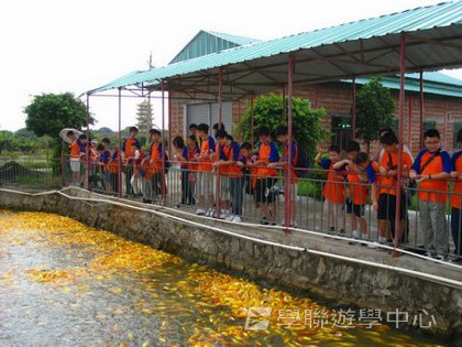Cybercamps,學聯遊學團