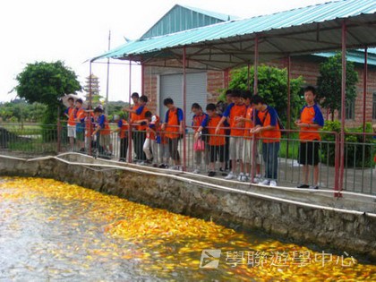 Cybercamps,學聯遊學團