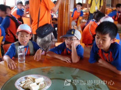 Cybercamps,學聯遊學團