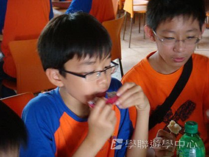 Cybercamps,學聯遊學團
