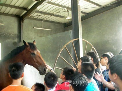 體育夏令營,學聯遊學團
