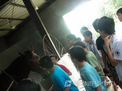 體育夏令營,學聯遊學團