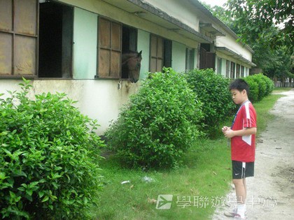 體育夏令營,學聯遊學團