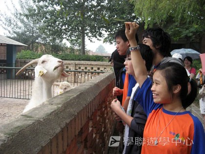 普通話夏令營,學聯遊學團