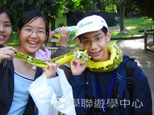 昆士蘭及新南威爾斯,學聯遊學團