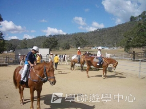 16天布里斯本遊學假期,學聯遊學團