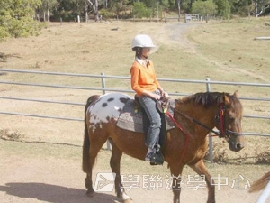 16天布里斯本遊學假期,學聯遊學團