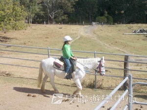 16天布里斯本遊學假期,學聯遊學團
