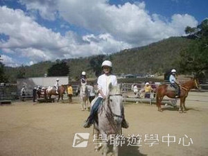 16天布里斯本遊學假期,學聯遊學團