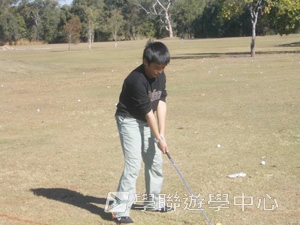 16天布里斯本遊學假期,學聯遊學團