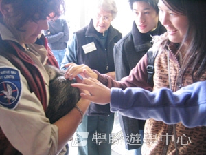 英語飛行探索之旅,學聯遊學團